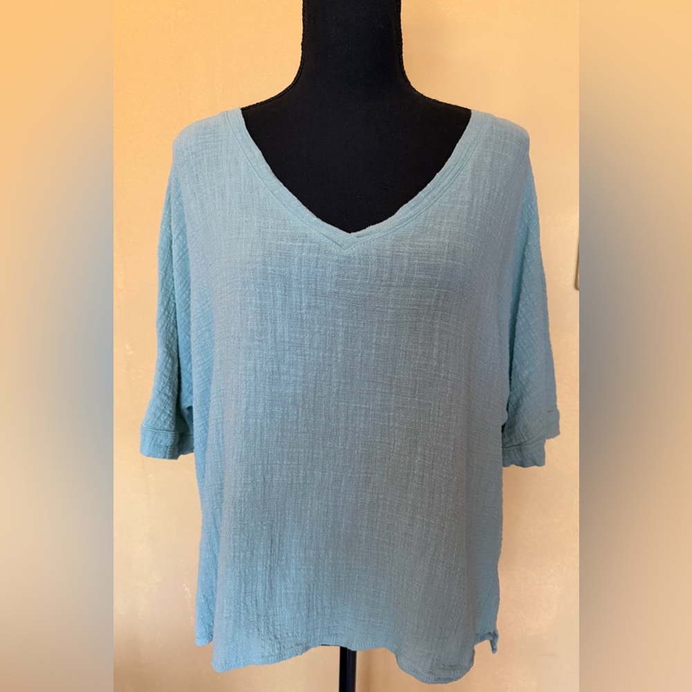 Women's Light Blue V-Neck Top